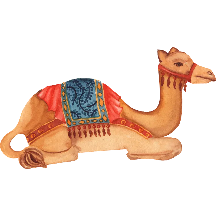 Kumpulan Gambar Unta Kartun Paling Bagus dan Terlengkap 17 Gambar Unta Kartun