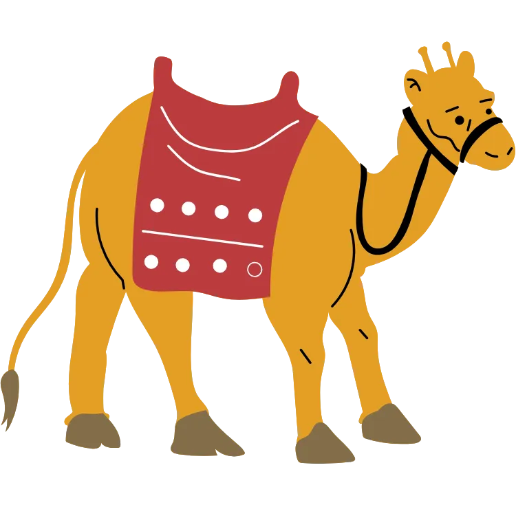 Kumpulan Gambar Unta Kartun Paling Bagus dan Terlengkap 15 Gambar Unta Kartun