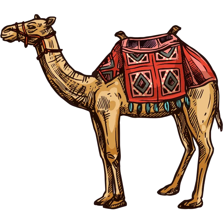 Kumpulan Gambar Unta Kartun Paling Bagus dan Terlengkap 8 Gambar Unta Kartun