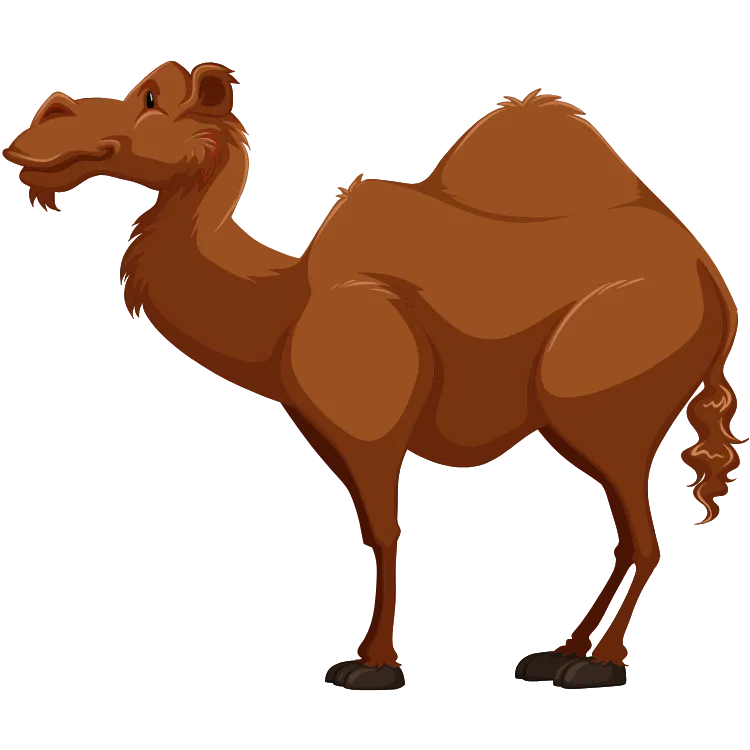 Kumpulan Gambar Unta Kartun Paling Bagus dan Terlengkap 4 Gambar Unta Kartun