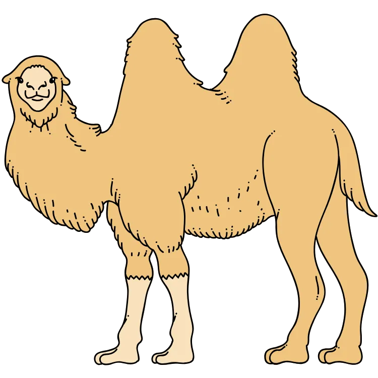 Kumpulan Gambar Unta Kartun Paling Bagus dan Terlengkap 3 Gambar Unta Kartun