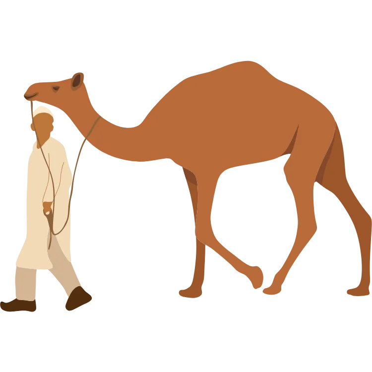 Kumpulan Gambar Unta Kartun Paling Bagus dan Terlengkap 25 Gambar Unta Kartun