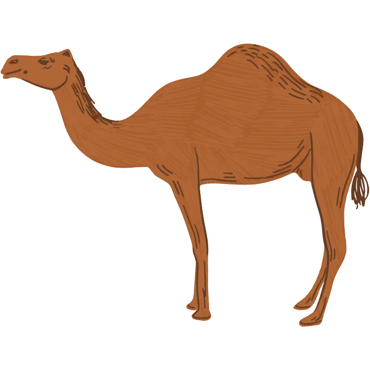 Kumpulan Gambar Unta Kartun Paling Bagus dan Terlengkap 24 Gambar Unta Kartun