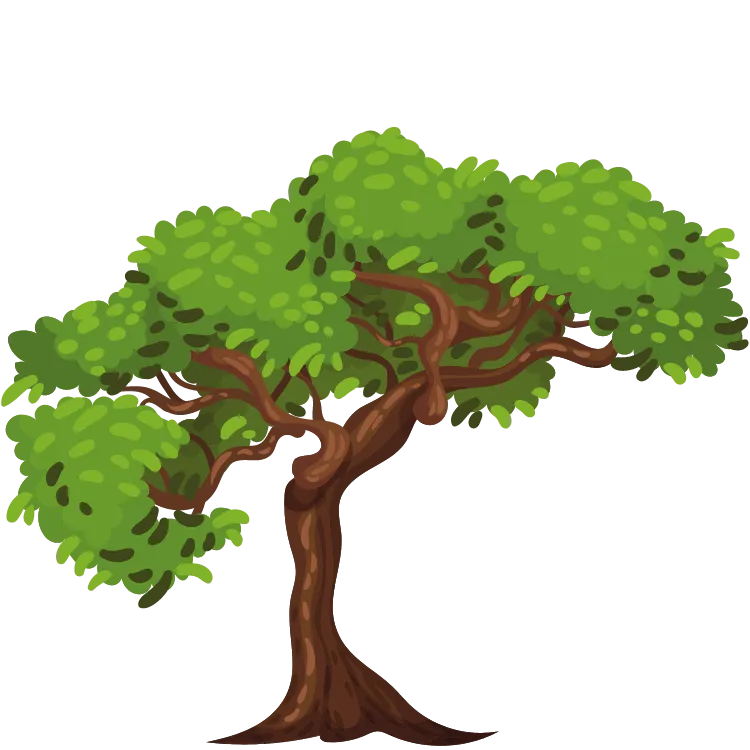 Kumpulan Gambar Pohon Kartun Paling Bagus dan Terlengkap 13 Gambar Pohon Kartun