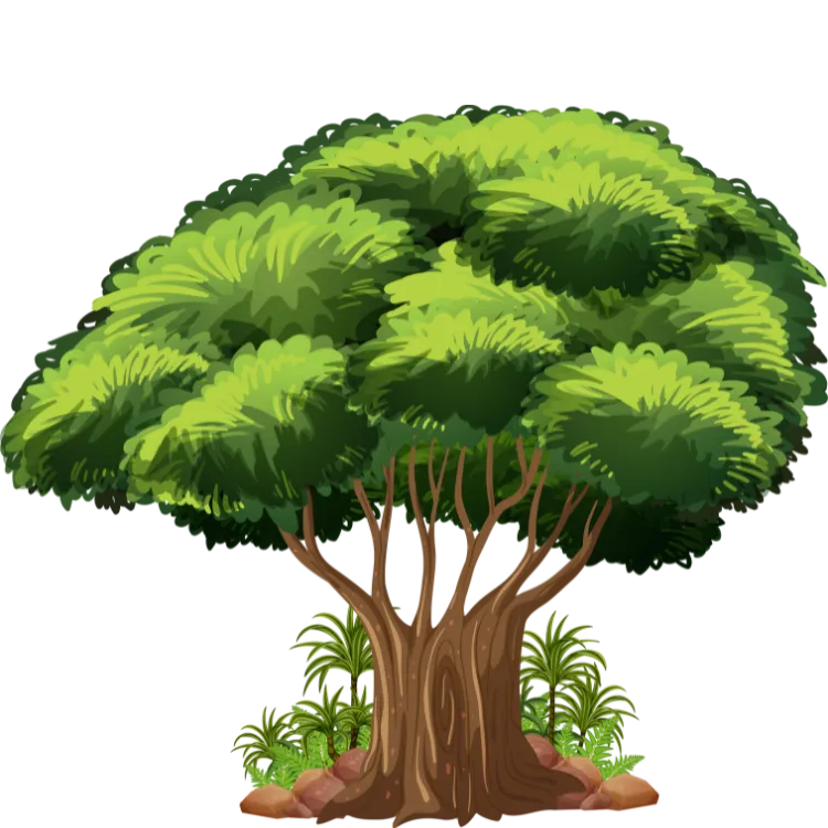 Kumpulan Gambar Pohon Kartun Paling Bagus dan Terlengkap 12 Gambar Pohon Kartun