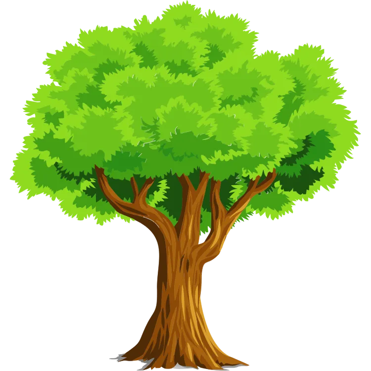 Kumpulan Gambar Pohon Kartun Paling Bagus dan Terlengkap 11 Gambar Pohon Kartun