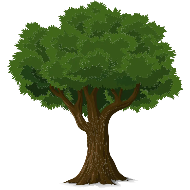 Kumpulan Gambar Pohon Kartun Paling Bagus dan Terlengkap 10 Gambar Pohon Kartun