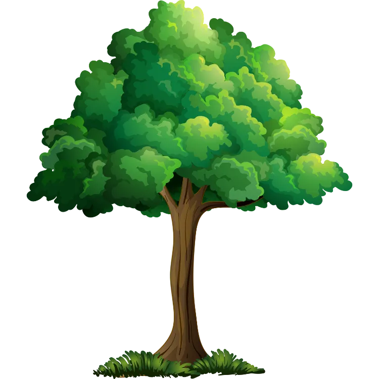 Kumpulan Gambar Pohon Kartun Paling Bagus dan Terlengkap 8 Gambar Pohon Kartun