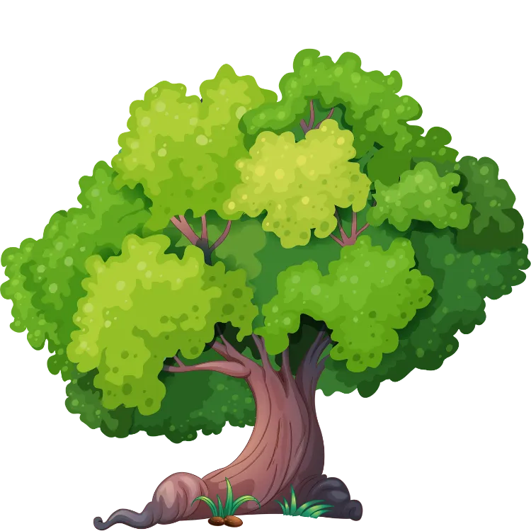 Kumpulan Gambar Pohon Kartun Paling Bagus dan Terlengkap 7 Gambar Pohon Kartun