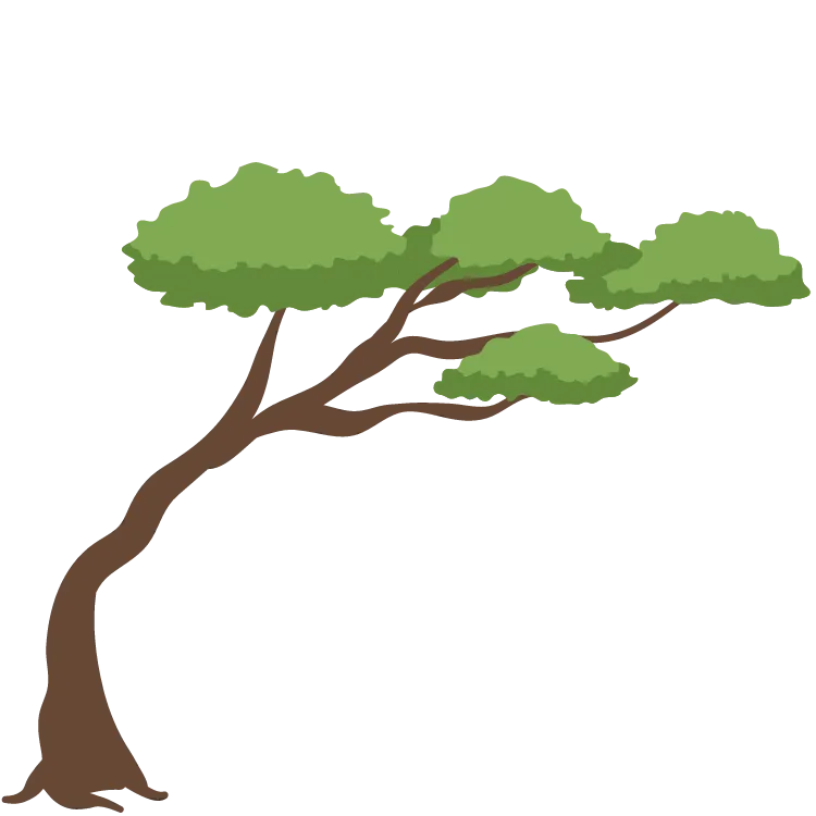 Kumpulan Gambar Pohon Kartun Paling Bagus dan Terlengkap 3 Gambar Pohon Kartun