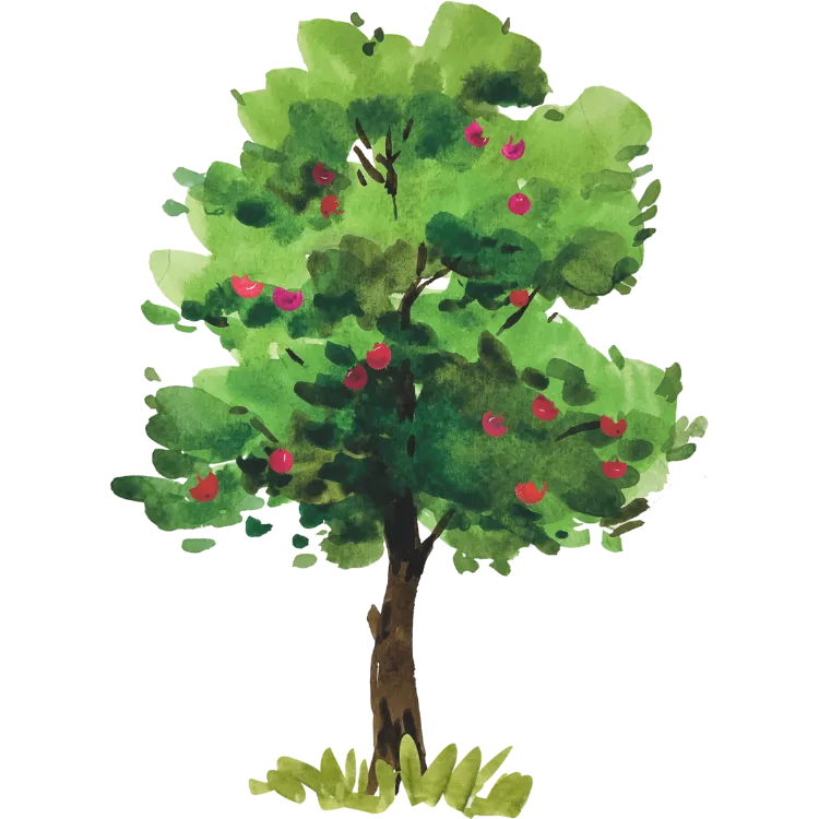 Kumpulan Gambar Pohon Kartun Paling Bagus dan Terlengkap 21 Gambar Pohon Kartun