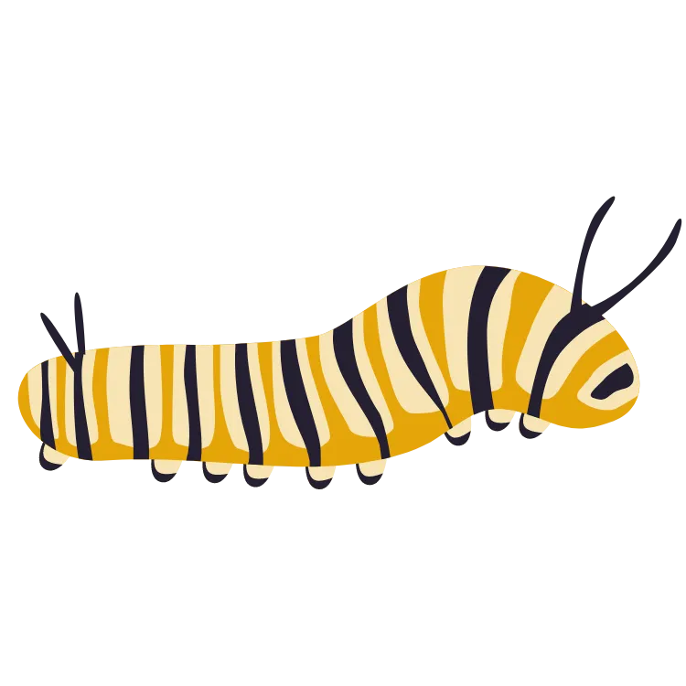 Kumpulan Gambar Ulat Kartun Paling Bagus dan Terlengkap 17 Gambar Ulat Kartun