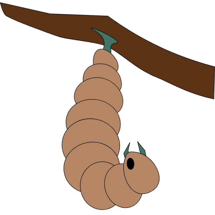 Kumpulan Gambar Ulat Kartun Paling Bagus dan Terlengkap 13 Gambar Ulat Kartun