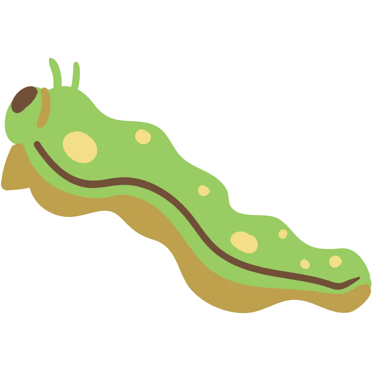 Kumpulan Gambar Ulat Kartun Paling Bagus dan Terlengkap 12 Gambar Ulat Kartun