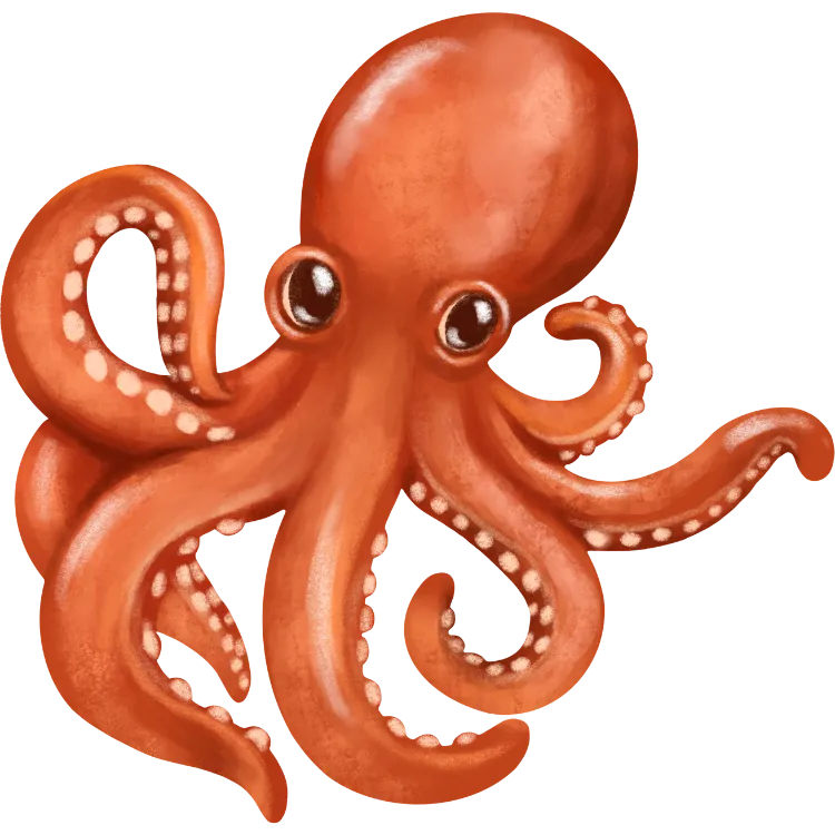 Kumpulan Gambar Gurita Kartun Paling Bagus dan Terlengkap 13 Gambar Gurita Kartun