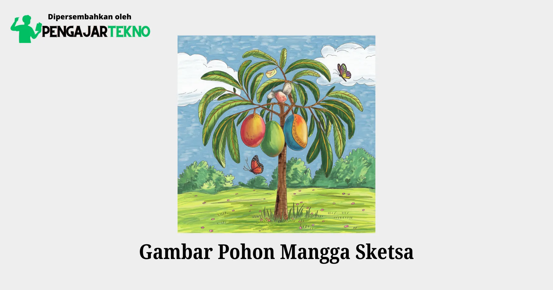 gambar pohon mangga sketsa