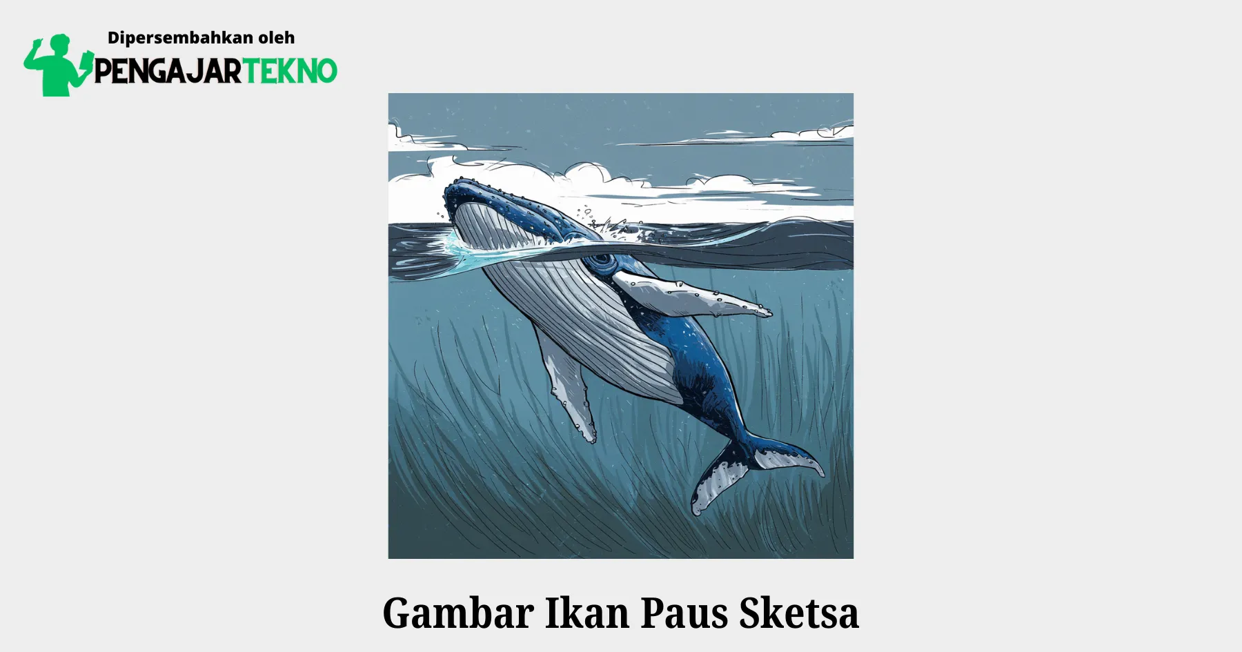 gambar ikan paus sketsa