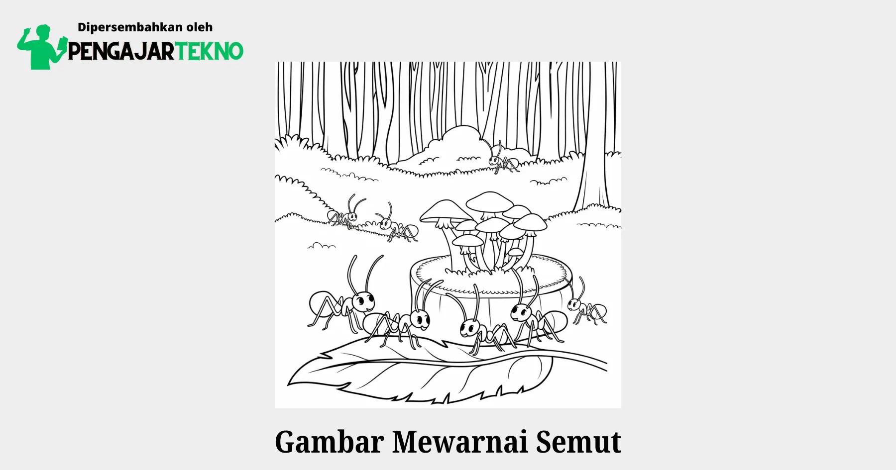 gambar mewarnai semut