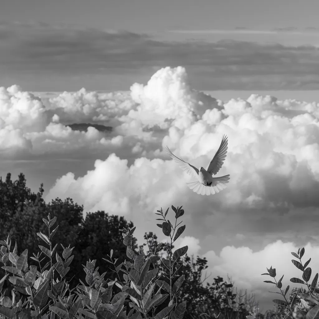 Gambar Hitam Putih Burung 21 gambar hitam putih burung