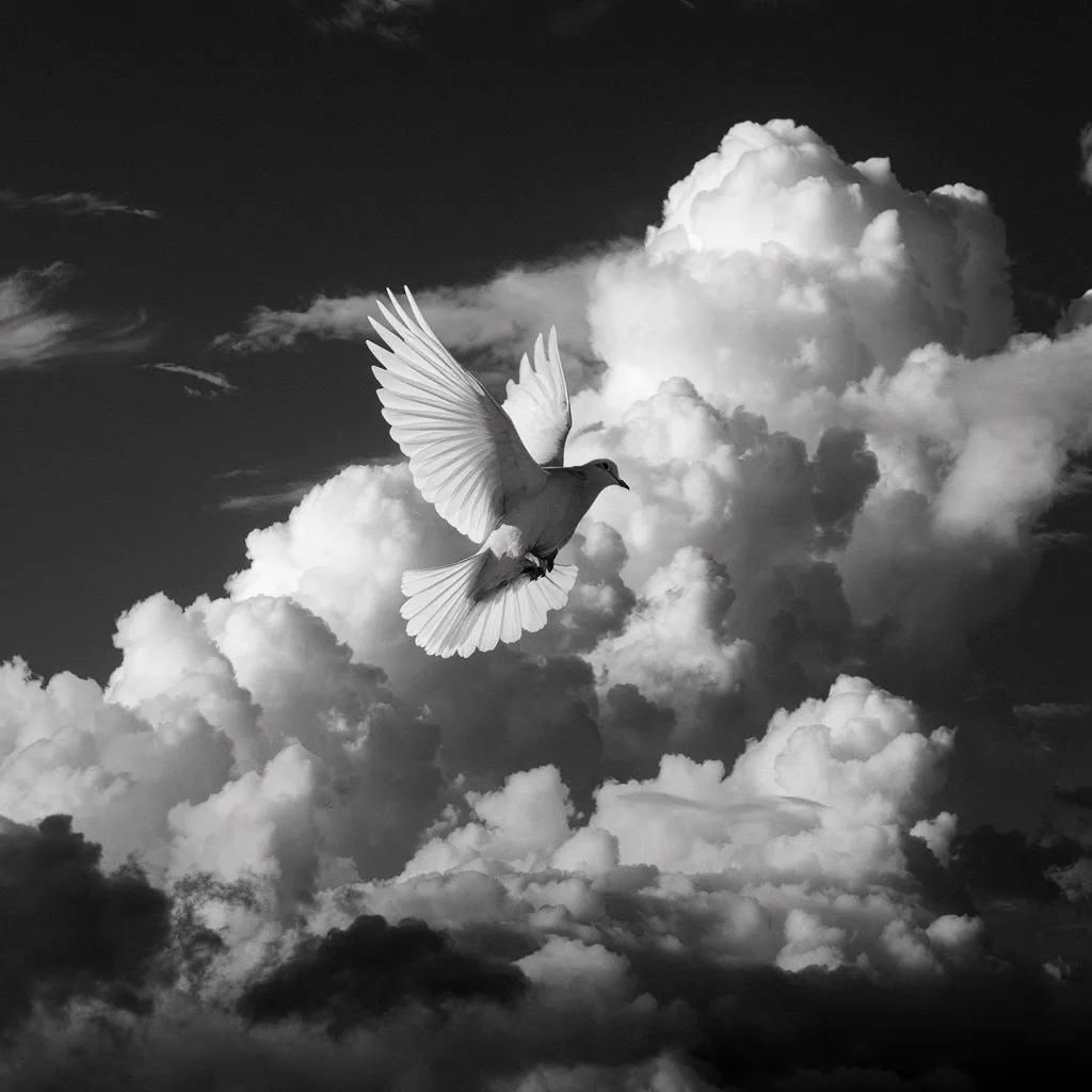 Gambar Hitam Putih Burung 26 gambar hitam putih burung