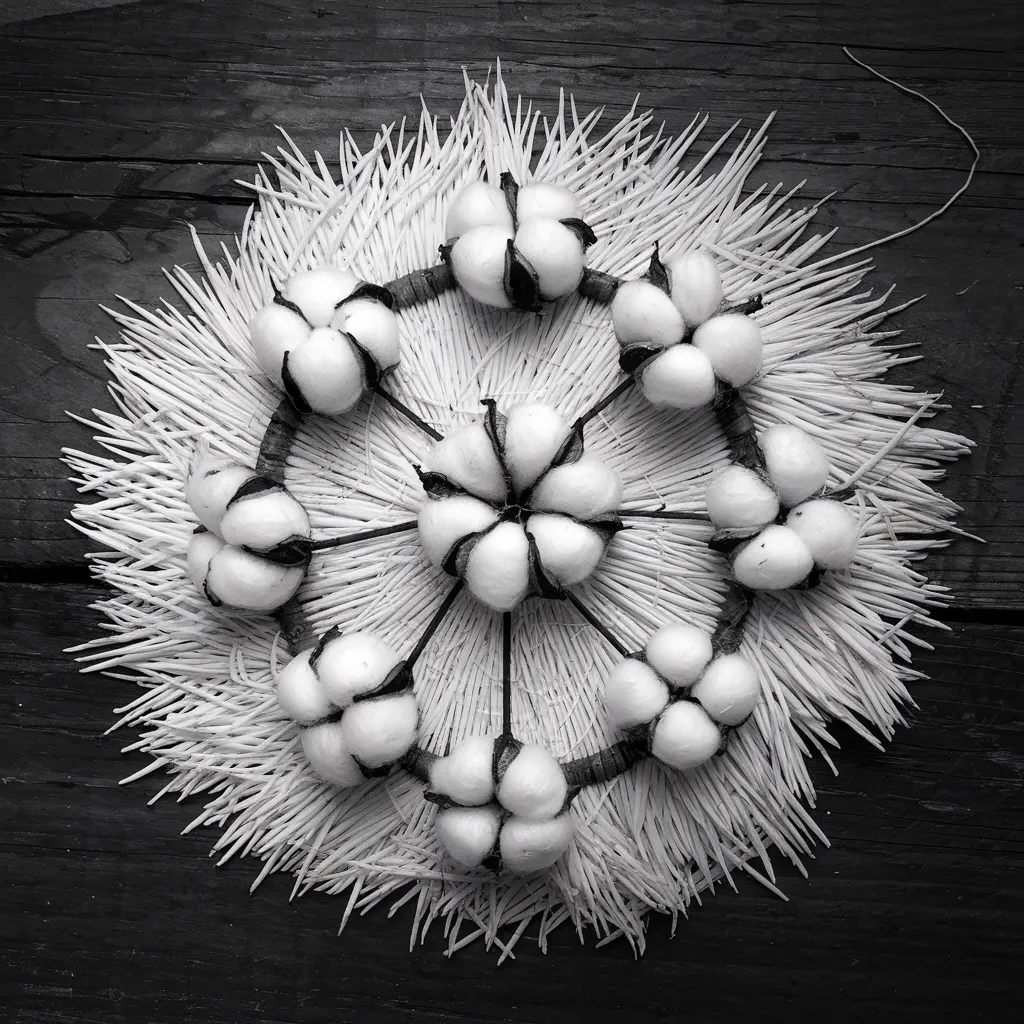 Gambar Padi dan Kapas Hitam Putih 25 gambar padi dan kapas hitam putih