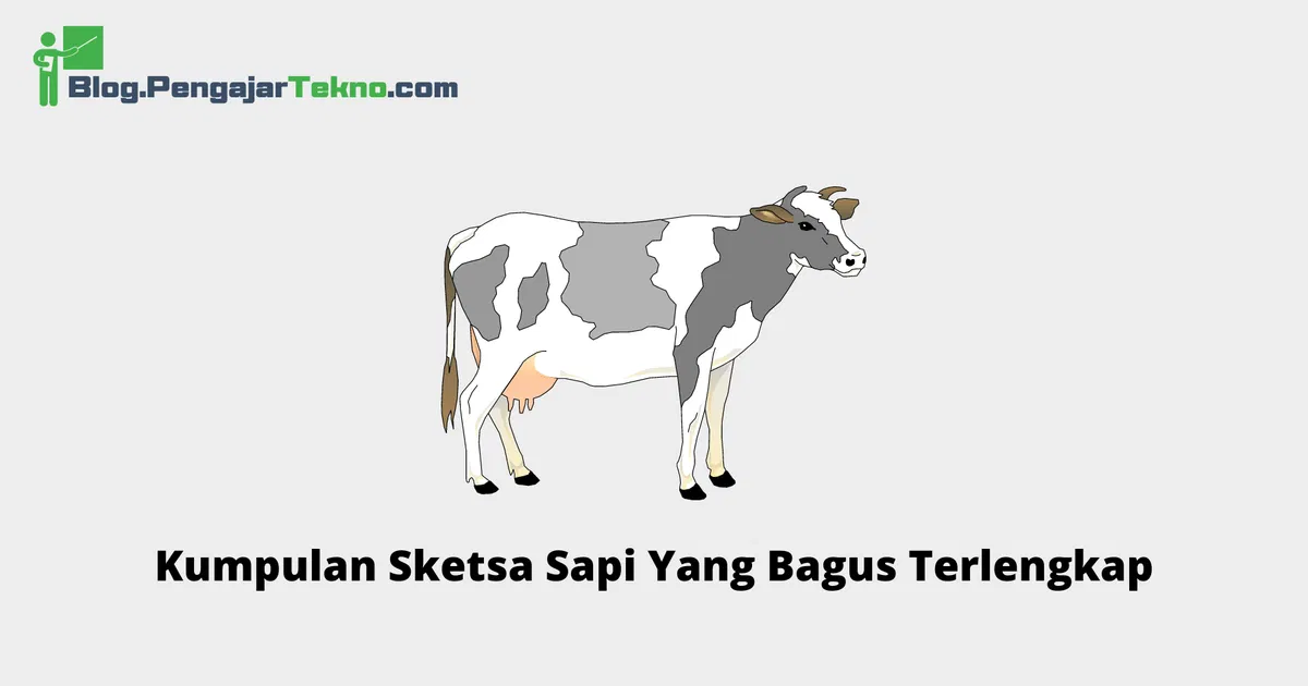 Kumpulan Sketsa Sapi Yang Bagus Terlengkap - Blog Pengajar Tekno